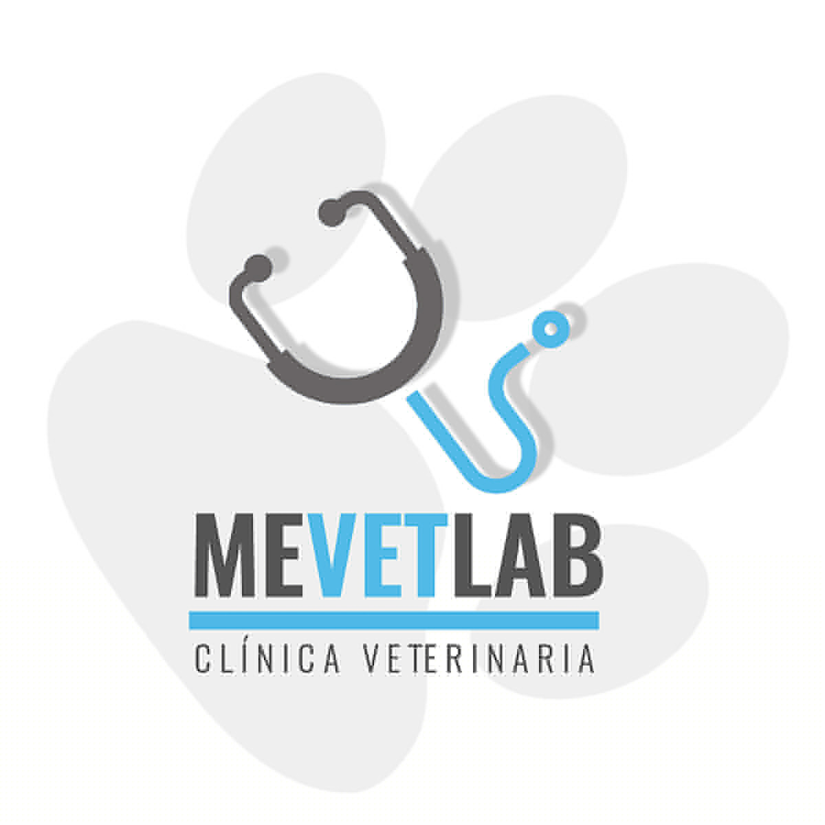 Logo Mevetlab
